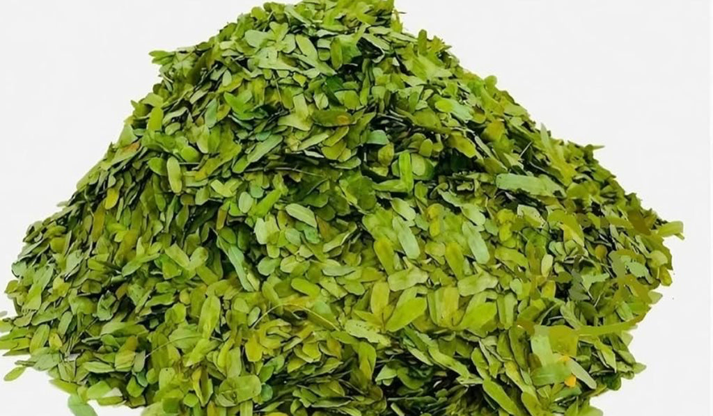 Cocktail de plante au feuilles de Timi Timini-Equilibre&Confort